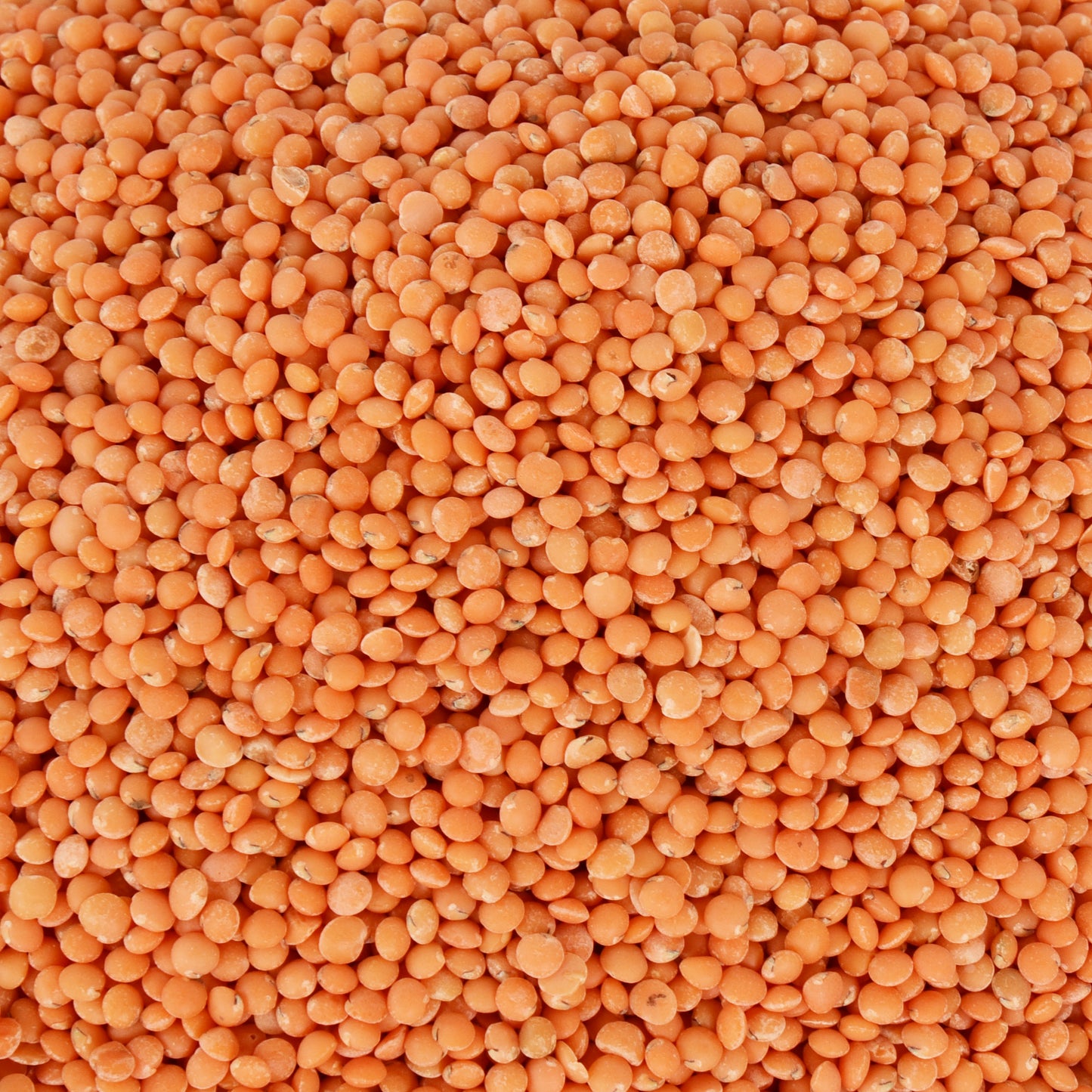 Sona Masoor Dal 900g