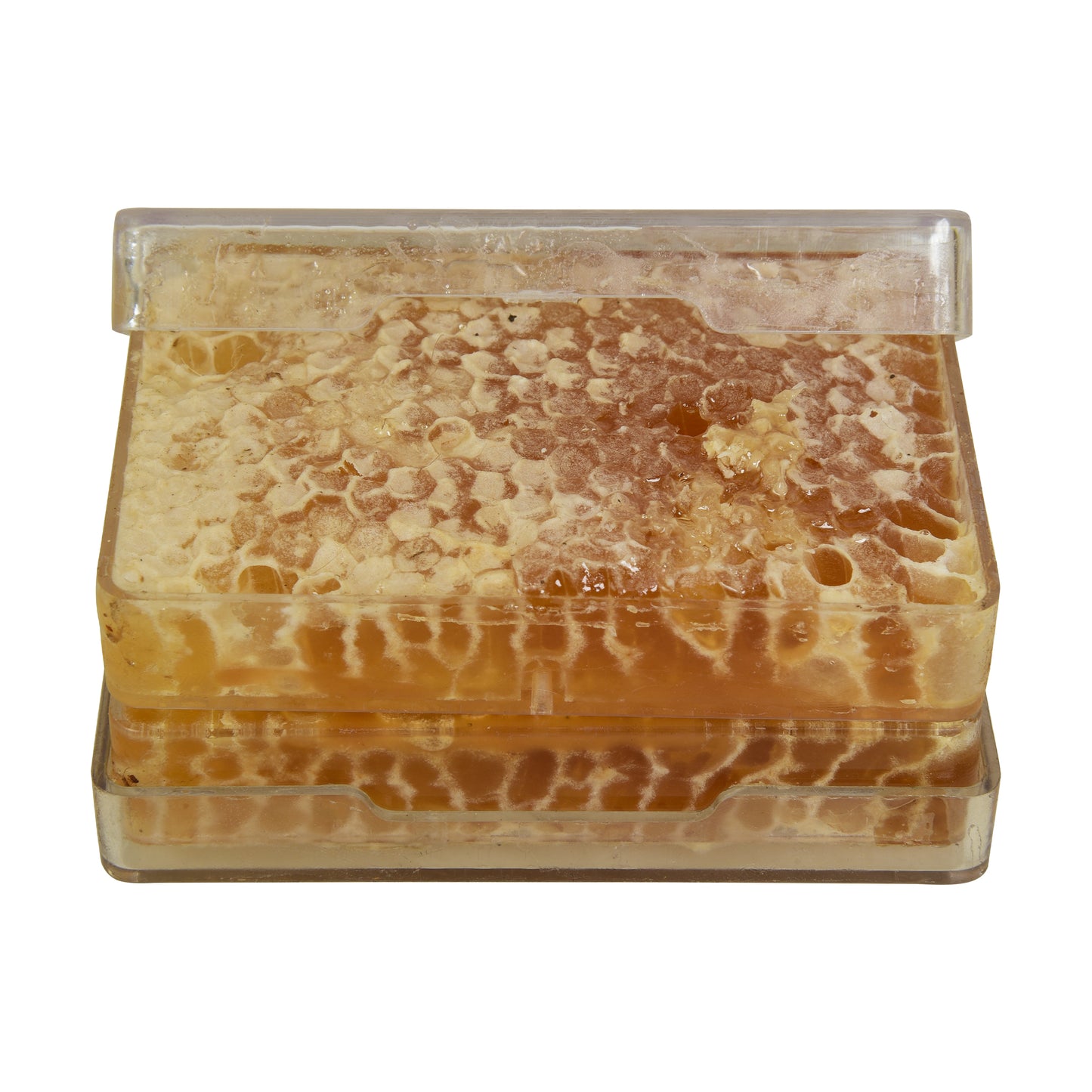 Raw Honeycomb (250–300g)